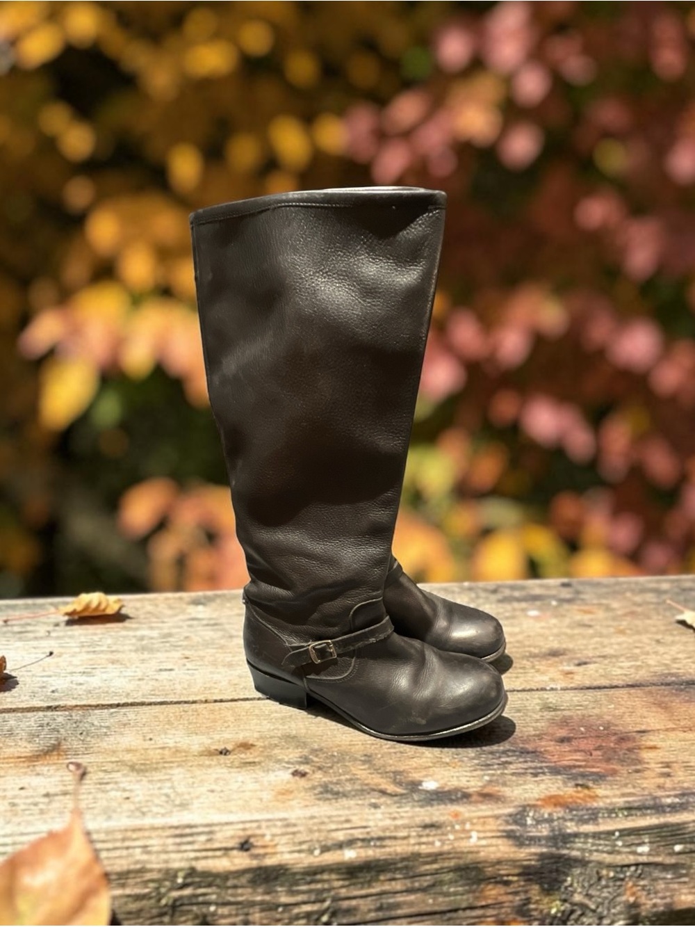 FRYE Classic Women's Tall Riding Boots in Black